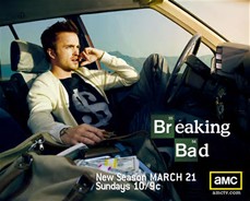 Aaron Paul Breaking Bad Bitch