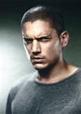 Wentworth Miller
