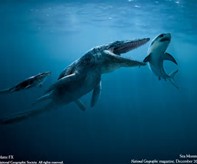 National Geographic Megalodon Shark