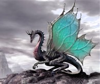 Butterfly Dragon