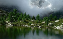 National Geographic Nature