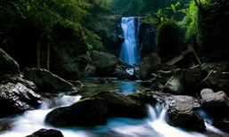 Cool Nature Waterfall