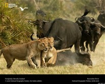 National Geographic