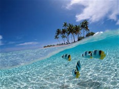 Sulawesi Island Indonesia