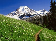 Mount Baker Snoqualmie Forest
