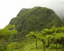 Mount Pelee Volcano